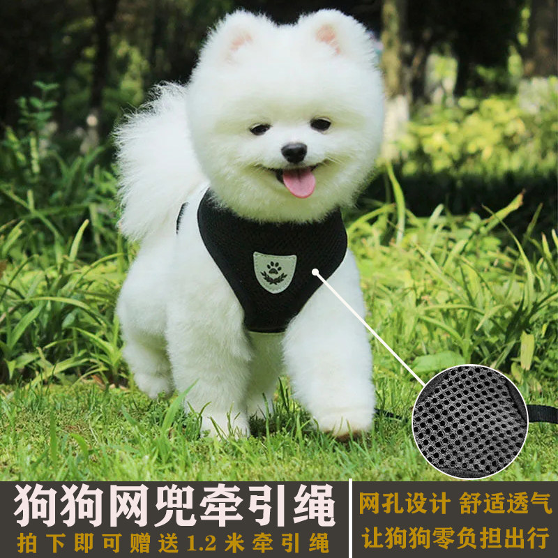 中小型犬狗狗牵引绳背心款狗绳狗链遛狗绳博美泰迪茶杯犬宠物用品图片