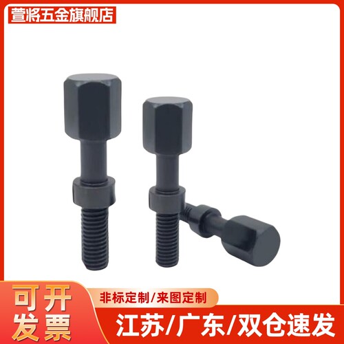 AJSTC/AJSTCF 粗牙细牙调整螺栓 六角头尺寸简易型 PAY21/PAY31
