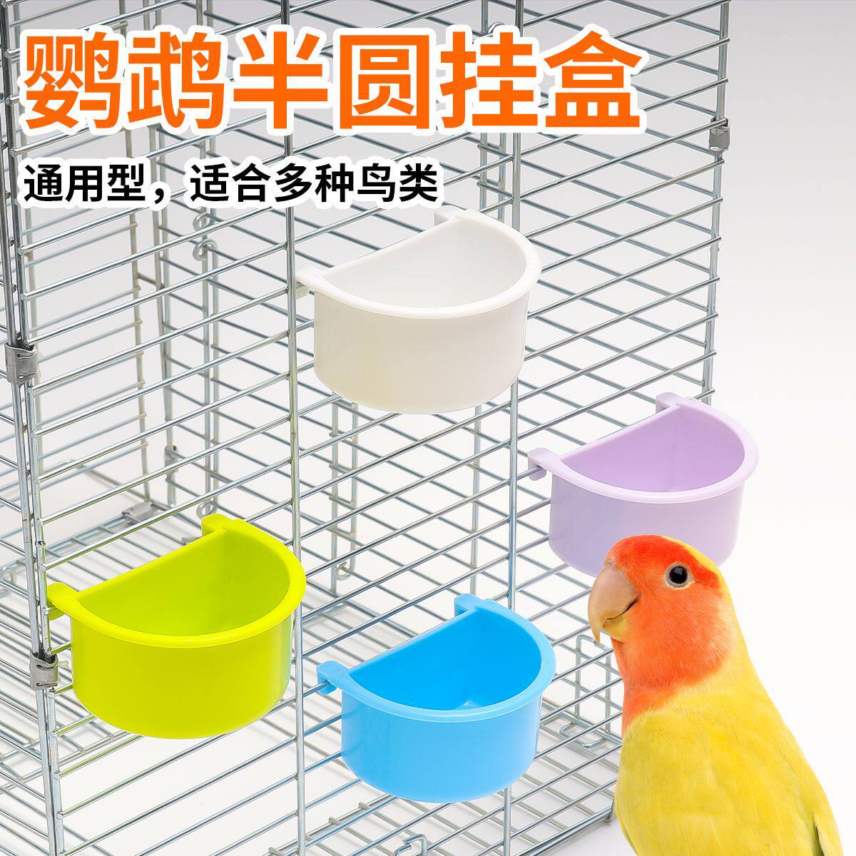 鹦鹉喂食器内挂鸟食盒饮水器图片
