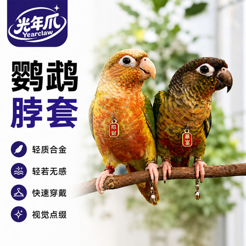 鹦鹉脖套超轻链子鸟脖圈吊坠外出