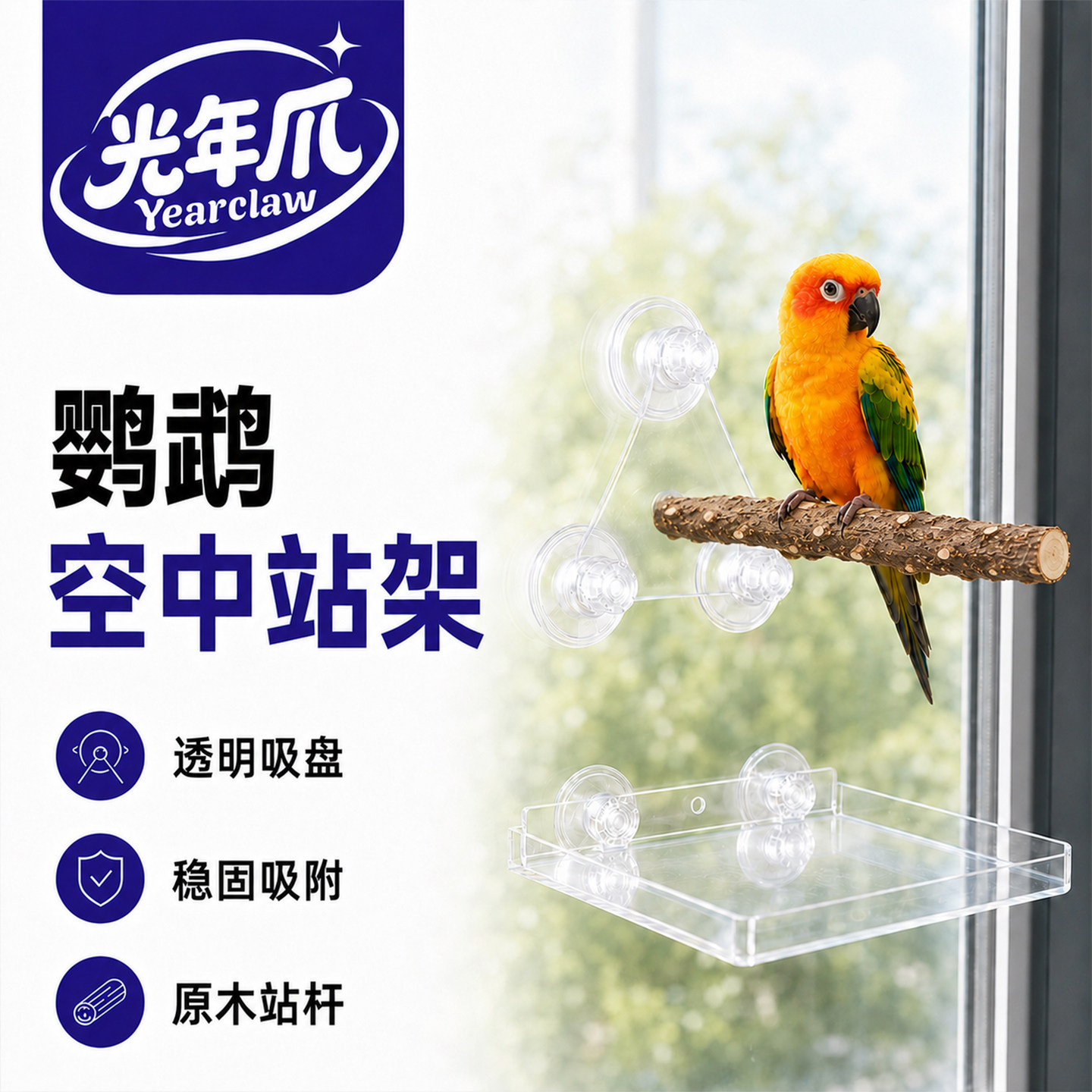 鹦鹉空中站架空中托盘定点排便图片