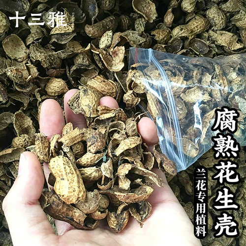 兰花苗新手专用植料腐熟花生壳