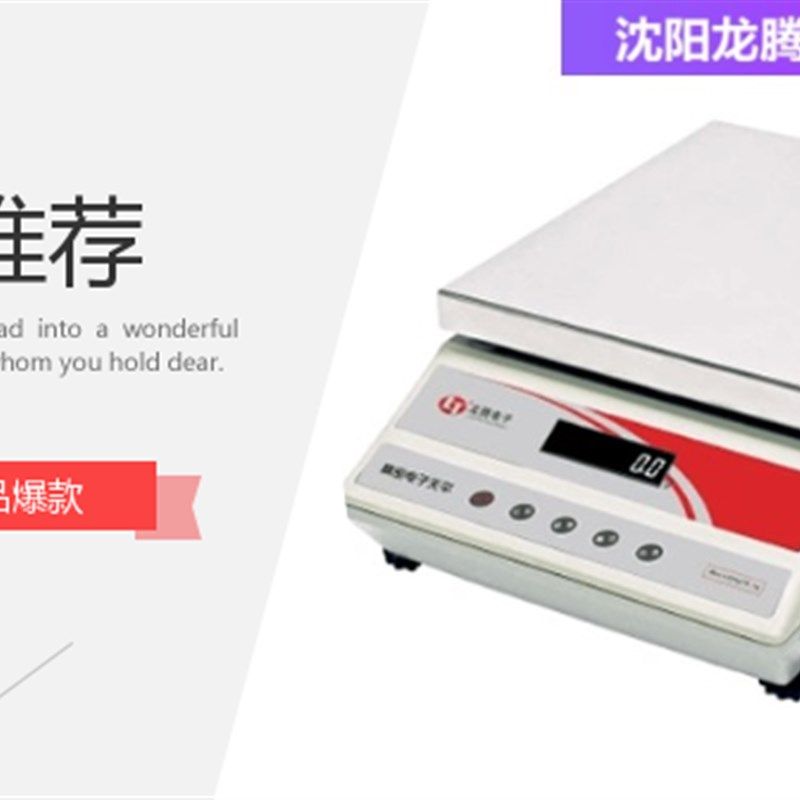 沈阳龙腾电子天平ES20K 20公斤 0.5g大称量砝码电子质量比较仪