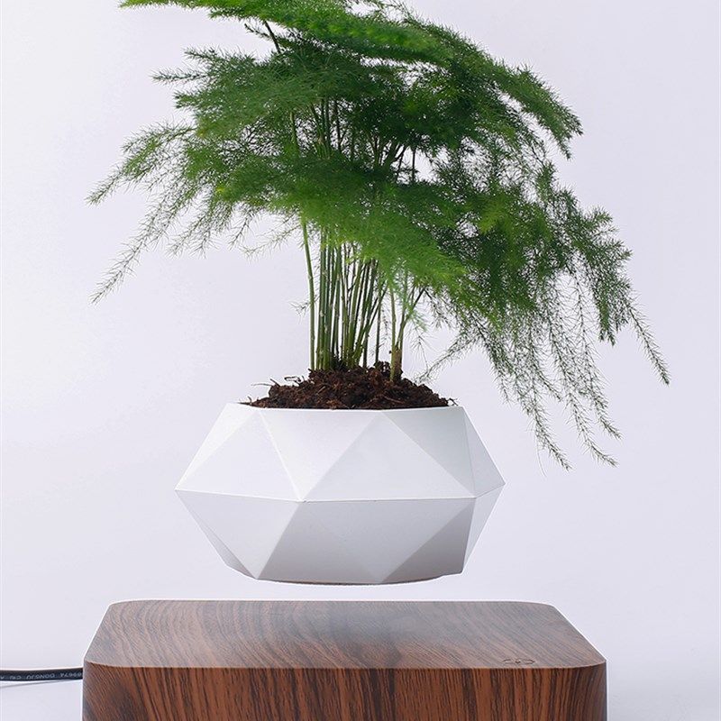 磁悬浮花盆简约创意客厅招财摆件栽家居diy多肉植物科技礼物漂浮