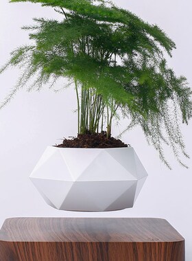 磁悬浮花盆简约创意客厅招财摆件栽家居diy多肉植物科技礼物漂浮
