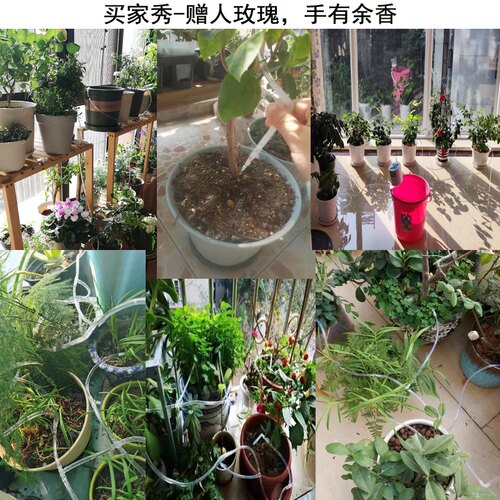 透明软管4mm阳台浇花器滴水弯滴箭滴灌三通调节大小浇水滴头配件