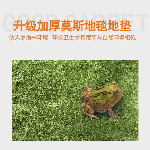 买2送1角蛙垫材爬虫箱莫斯地毯陆龟箱造景爬宠蛇守宫饲养盒垫材