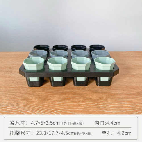 迷你盆12格托架组合多肉专用小花盆塑料桌面绿植玉露阳台整理暮光