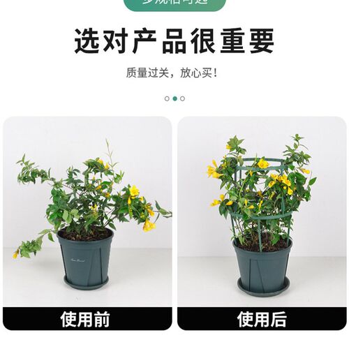 昙花专用支架植物防倒伏支架兰花护叶支架支花架子蟹爪兰专用支架