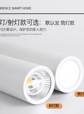 led圆柱形明装筒灯长筒射灯免开孔吸顶式桶灯创意餐厅商用展厅灯