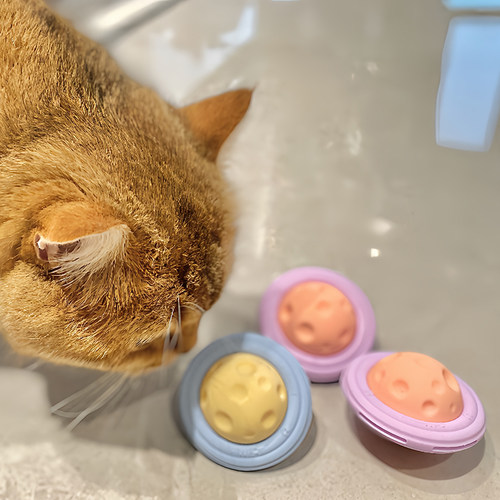 开玩时刻猫玩具逗猫球轨迹球逗猫棒玩具球创意猫咪自嗨解闷用品