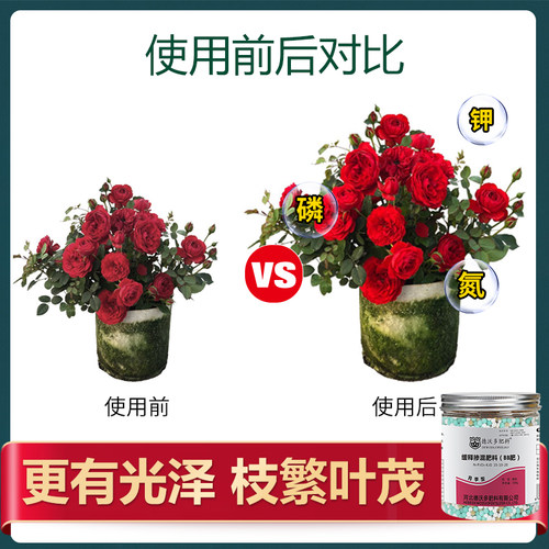 月季花肥专用型肥料玫瑰蔷薇家用盆栽通用缓释肥有机肥颗粒复合肥
