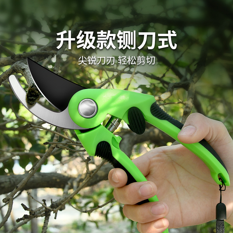 园林剪树枝专用剪刀修枝剪专用花剪园艺工业用果树修花剪工具绿植图片