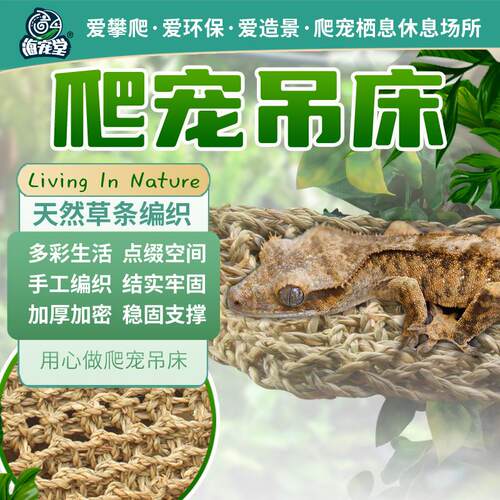 海宠堂爬宠吊床晒台鬃狮蜥蜴攀爬藤条蜥蜴豹纹守宫饲养箱天然造景