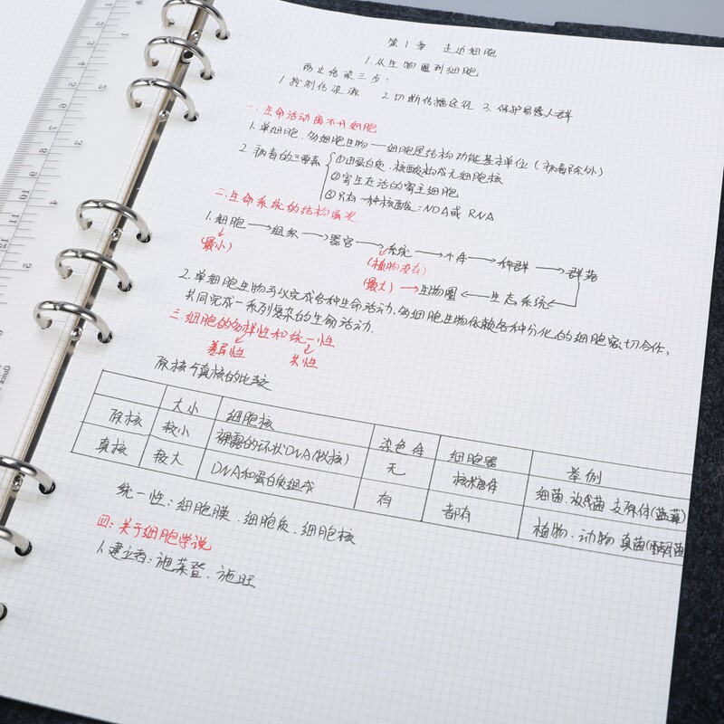 B5九孔毛毡活页本笔记本课堂笔记网格本康奈尔本 大号方格记事本