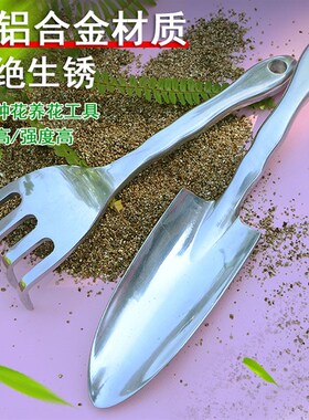 园艺铁铲铁锹花铲锄头家用种花赶海工具小铲子种菜栽养花多肉套装
