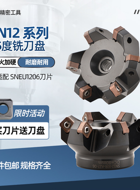45度快进给重切低阻力开粗面铣刀盘 双面八角SNEU1206 SNMX1205刀