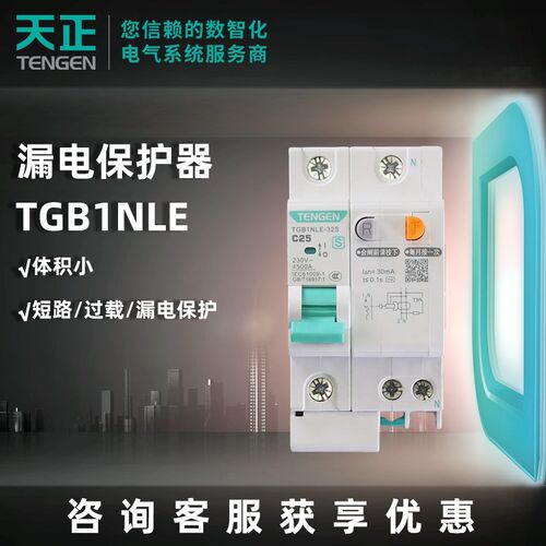 天正电气新款2P漏保63A断路器TGB1NLE漏电保护器