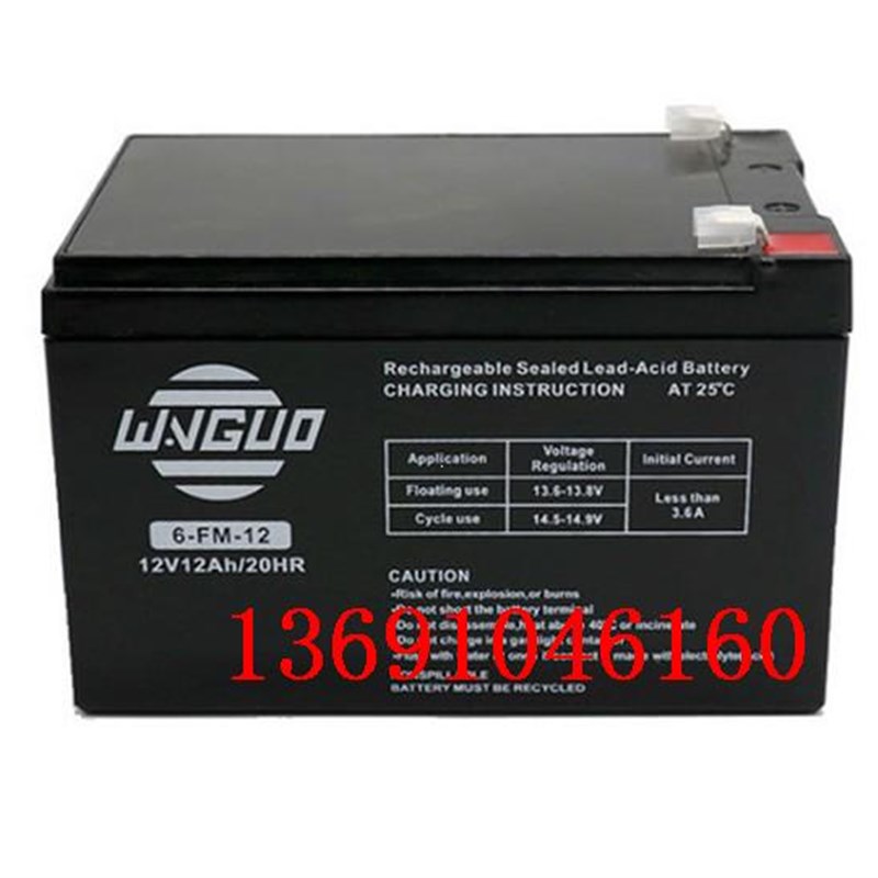WANGUO蓄电池6-FM-12 12V12AH/20HR消防门禁 夜市照明音响用电瓶