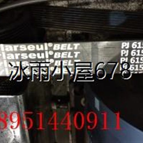 传送带进口工业皮带多沟槽楔带5PJ550 556 5PJ595 508 6PJ490 650