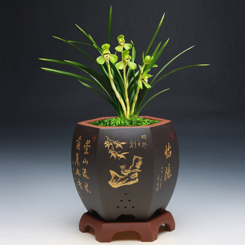 宜兴紫砂花盆六方花盆 带底座 盆景花盆陶瓷古典兰花盆 包邮