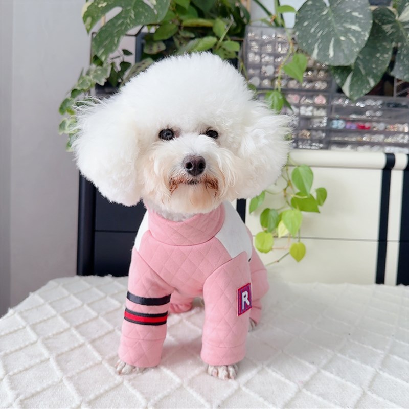 泰迪比熊博美狗狗加厚包肚保暖棉大衣宠物猫咪犬双排扣可牵引冬装