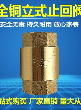 立式止回阀全铜加厚水泵水管水表止逆阀弹簧单向阀4分dn15 6分1寸