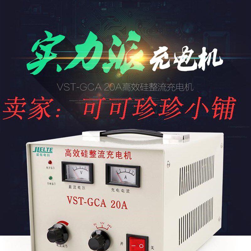 汽车电瓶充电器 蓄电池船用充电机VST GCA-20A 24V充电机上海稽隆