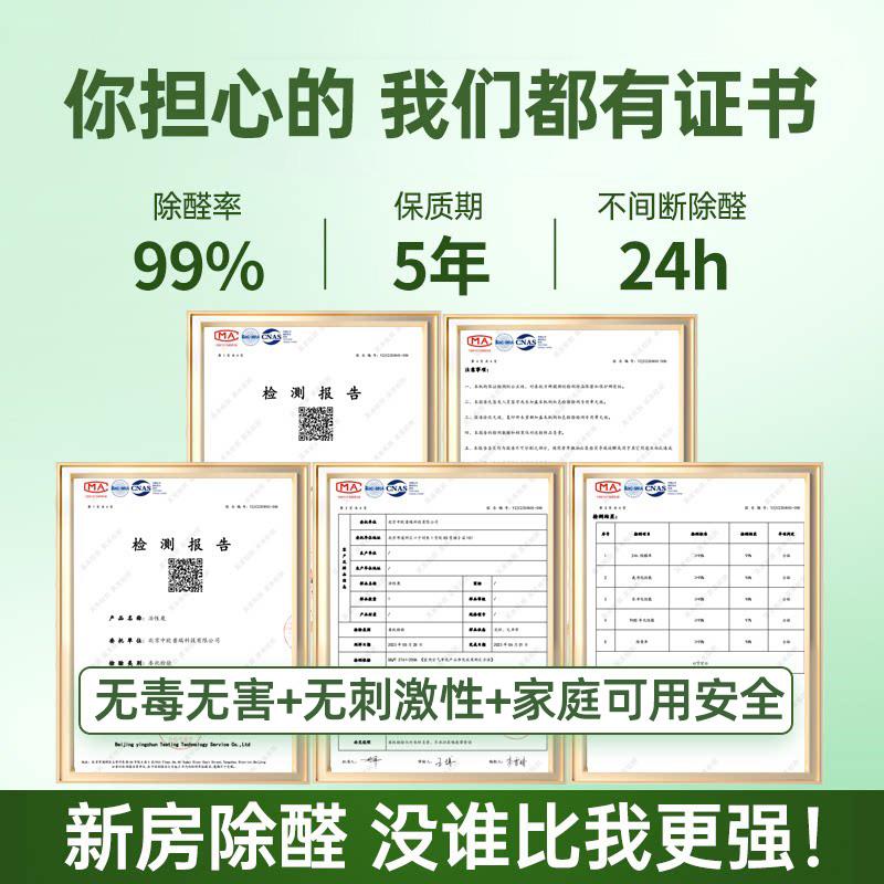 绿之源除甲醛活性炭包家用新房装修急入住神器强力吸附甲醛竹炭包