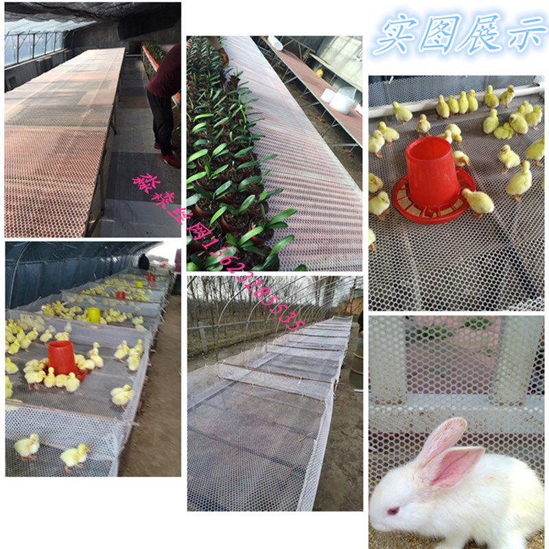 厂家包邮塑料养殖小孔育雏脚垫片阳台防护养鸡鸟雹鸭鹅蜂围栏胶网