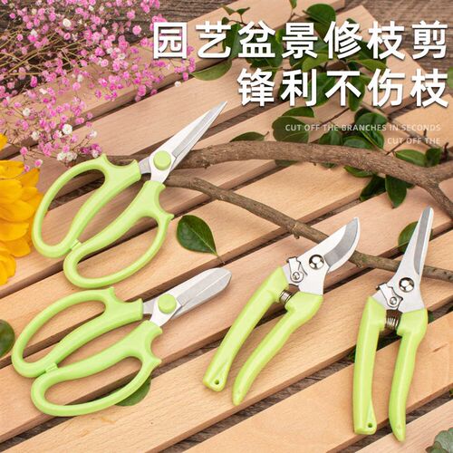 花剪粗枝剪刀省力修枝剪园艺剪修花木果树嫁接园林剪专用园艺剪子
