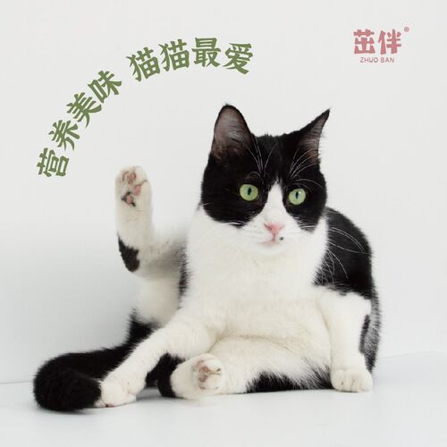 茁伴营养发腮猫罐头全价主食罐非零食猫咪罐头幼猫成猫补水猫粮