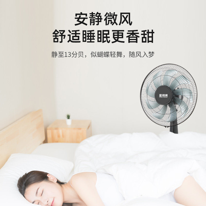 电风扇家用新款落地扇立式八叶宿舍办公室静音机械迷你小型静音扇图片