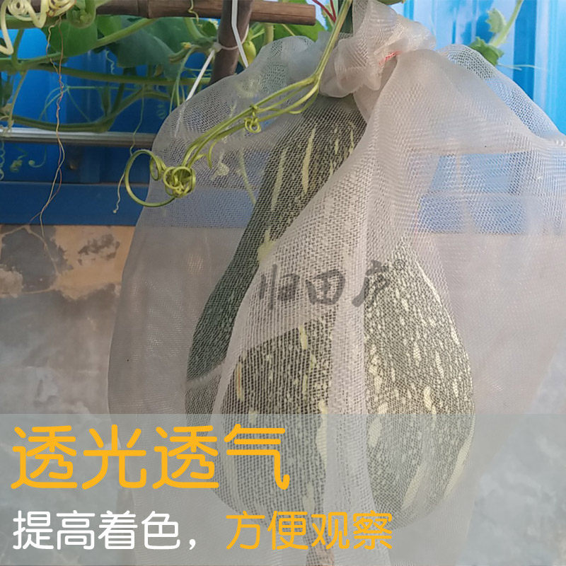西瓜套袋苦瓜专用袋南瓜丝网袋冬瓜黄瓜丝瓜袋子西红柿防虫防鸟袋