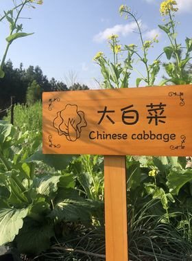 实木园艺植物标签牌木质插地牌户外指示标识牌幼儿园菜园告示木牌