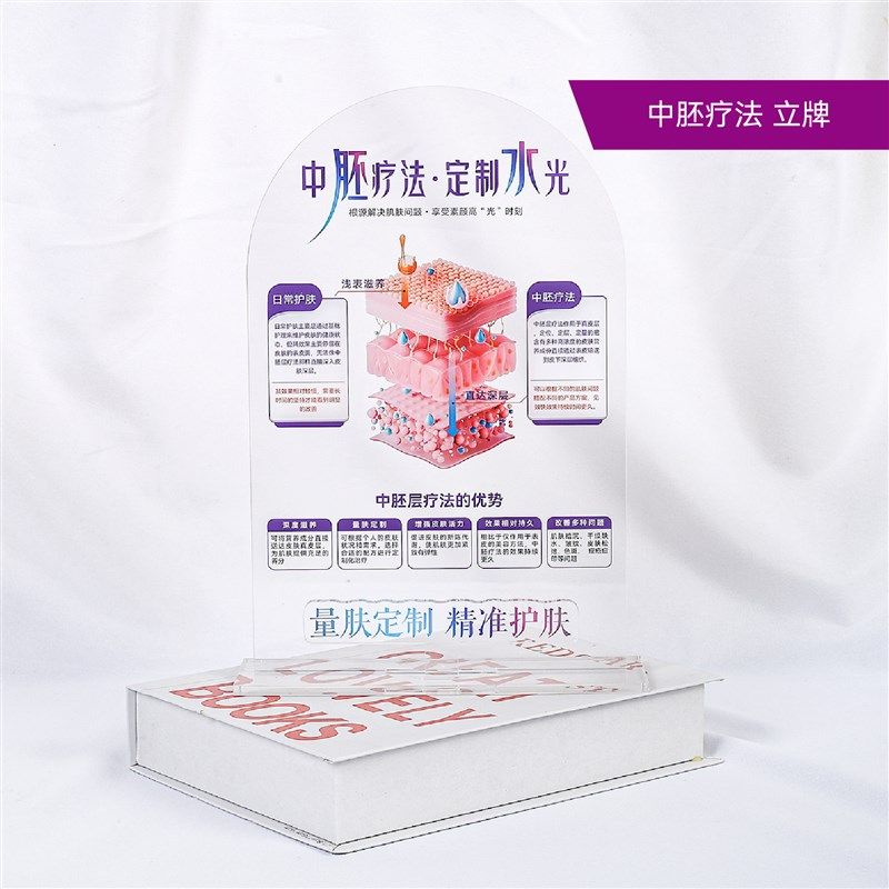 美容院桌面装饰摆件分层抗衰肌肤结构亚克力医患沟通皮肤解剖知识