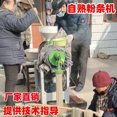 红薯粉条机家用小型全自动做红薯粉机子红苕土豆加工压打粉条机器