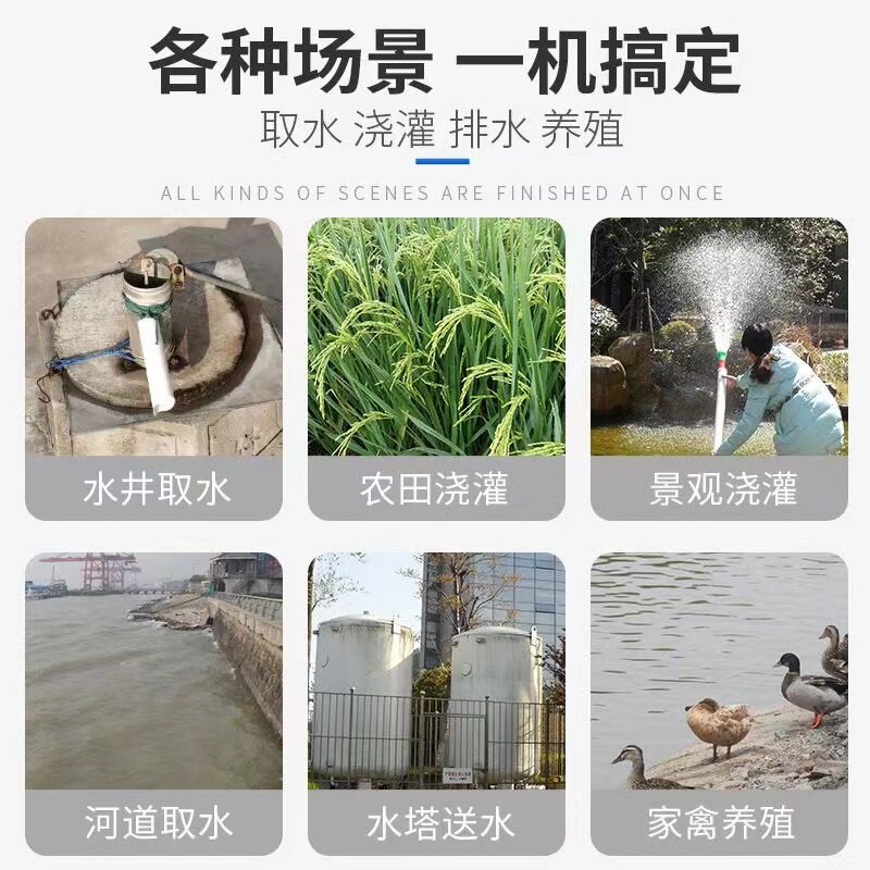 不锈钢螺杆深井泵220V家用农用高扬程潜水泵单相小型水井抽水泵