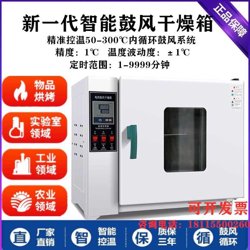 电热鼓风恒温干燥箱工业小烘箱药材烘干箱大灯烤箱熔喷布模具烤箱
