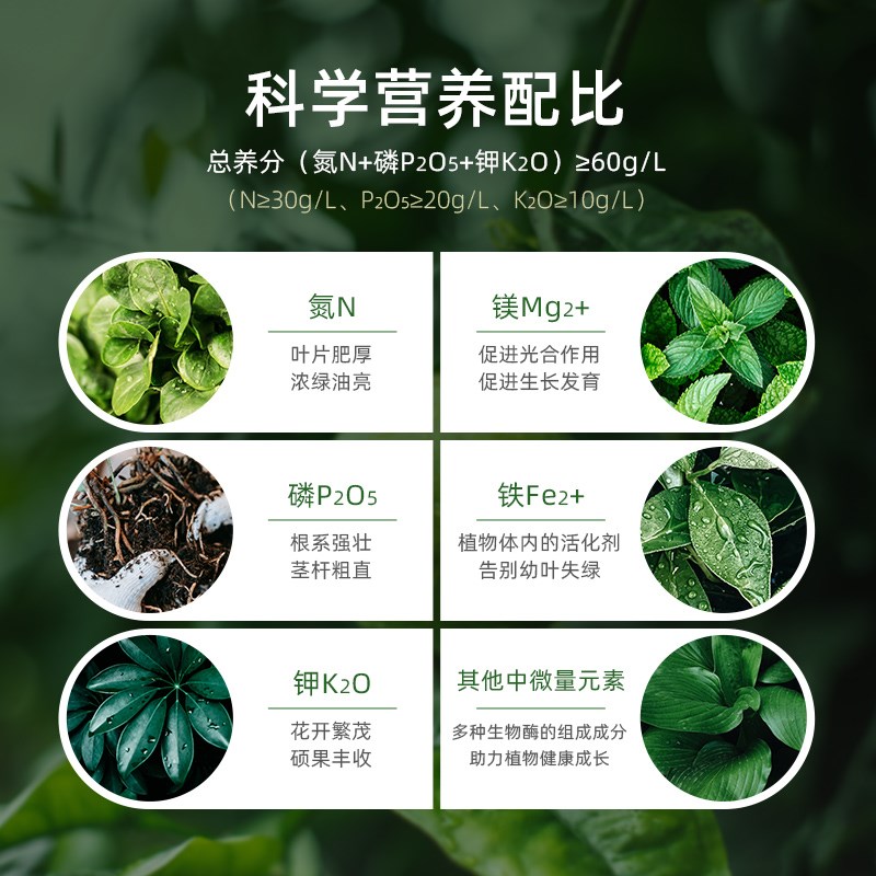 新洋丰观叶专用植物营养液通用型室内盆栽绿植家用肥料活力素花肥