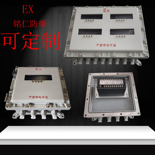 防爆仪表箱 防爆温控仪PH计其它防爆箱 防爆接线箱 BXK防爆控制箱