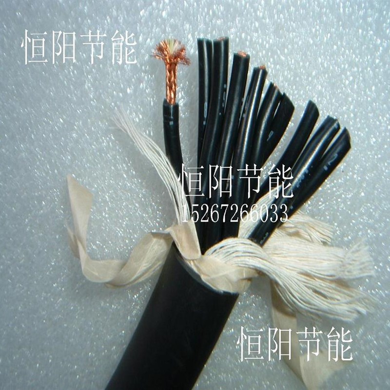 日本进口太阳10芯2平方电缆线 拖链控制线电机电源线耐曲拖链高柔