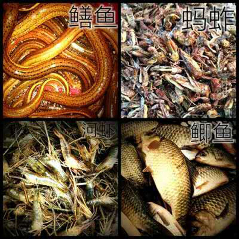画眉鸟饲料打斗 贵州凯里手工提性壮嫖打彩上火斗鸟粮营养料500克