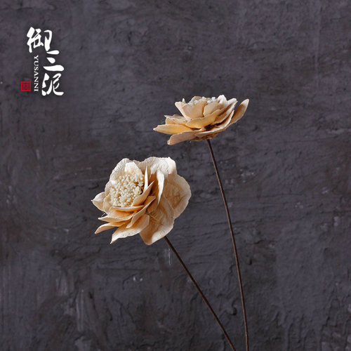 干花玉美人白玉牡丹精品干花手工制作花材旅游纪念家居软装