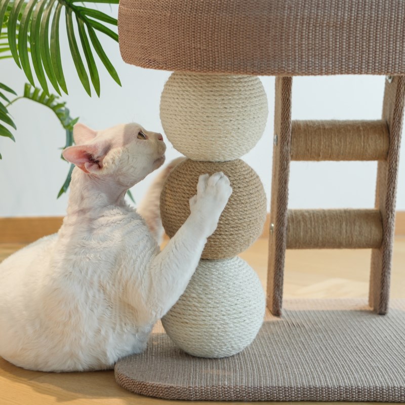 家用猫爬架猫窝一体小型猫爬剑麻架子矮脚猫不占地猫抓柱离地猫床图片
