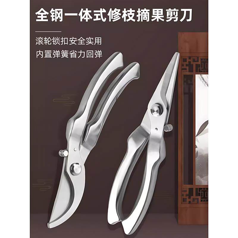 园艺剪枝剪刀修枝剪不锈钢果树园林树枝盆景修剪造型专用剪子工具图片