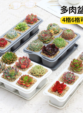 网红白色花盆长方形桌面窗台多肉种植格肉肉植物盆栽小号塑料花盆