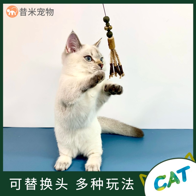 猫咪逗猫棒耐咬羽毛幼猫带铃铛钢丝长杆替换头木天蓼磨牙2021新款图片