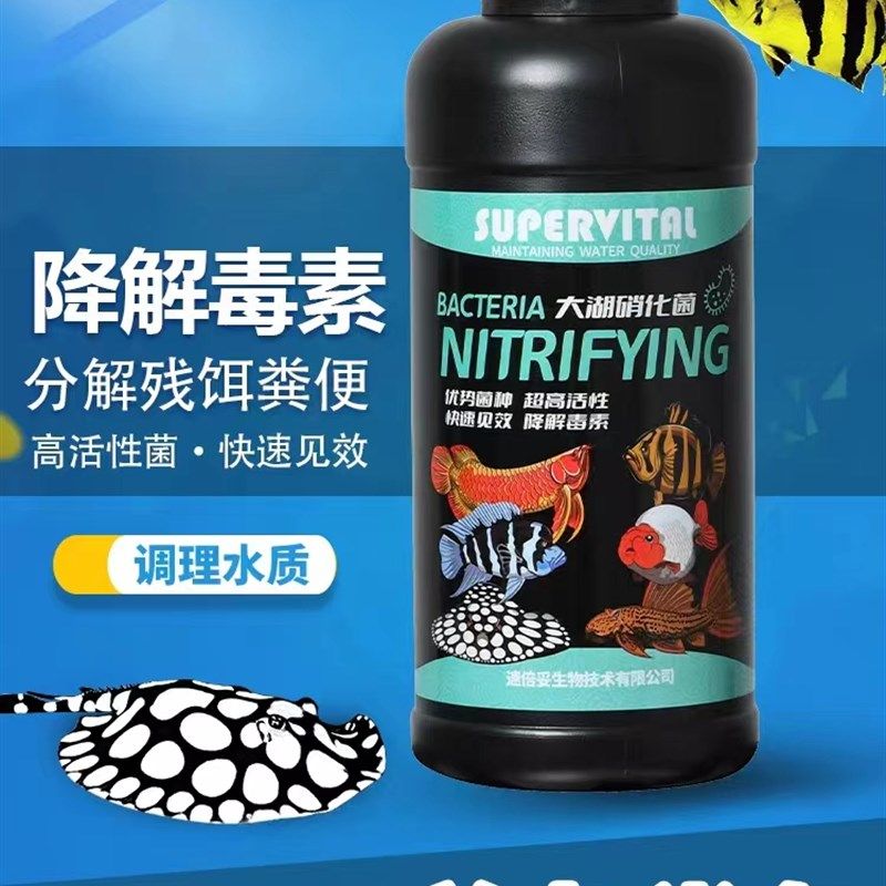 速倍妥硝化细菌二代富氧益生菌活性红龙维生素水稳鱼缸水质必定清