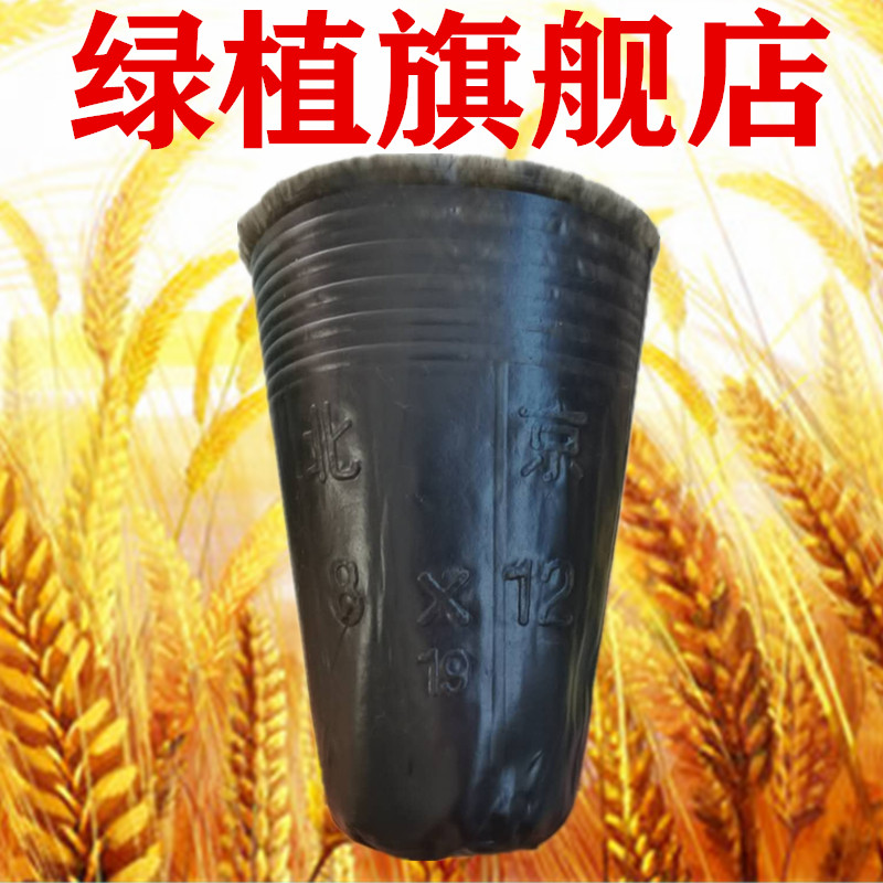 营养钵黑色塑料育苗杯育苗袋育苗盆一次性花盆加厚8*8营养杯西瓜